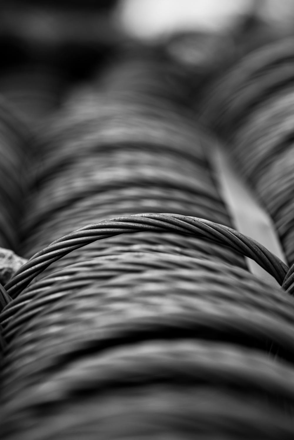 Hot rolled pickled and oiled coil